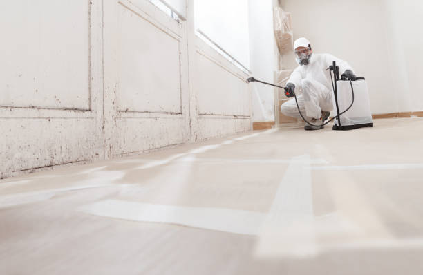 24/7 Emergency Crawl Space Mold Remediation experts in Silverdale, PA