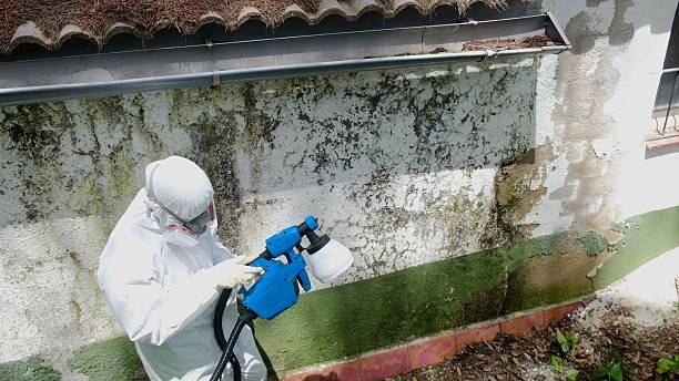 Top rated local Crawl Space Mold Remediation specialists in Silverdale, PA